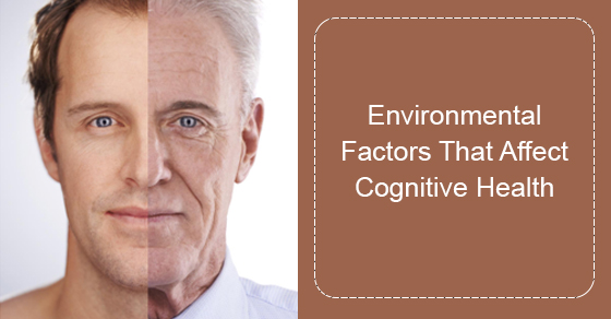 Environmental Factors That Affect Cognitive Health