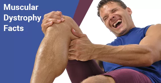 Muscular Dystrophy Facts